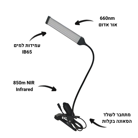אור אינפרא אדום - ללא סאונה